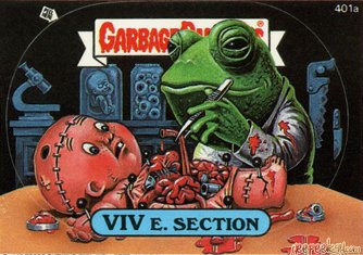 VIV E Section Funny Decal Name Sticker