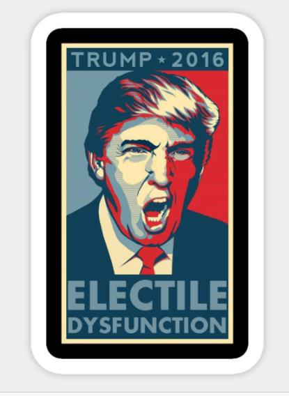 TRUMP DYSFUNCTION Sticker RWB