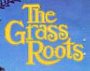 The Grass Roots 2