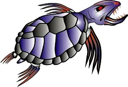 wicked turtle boating sticker RIGHT