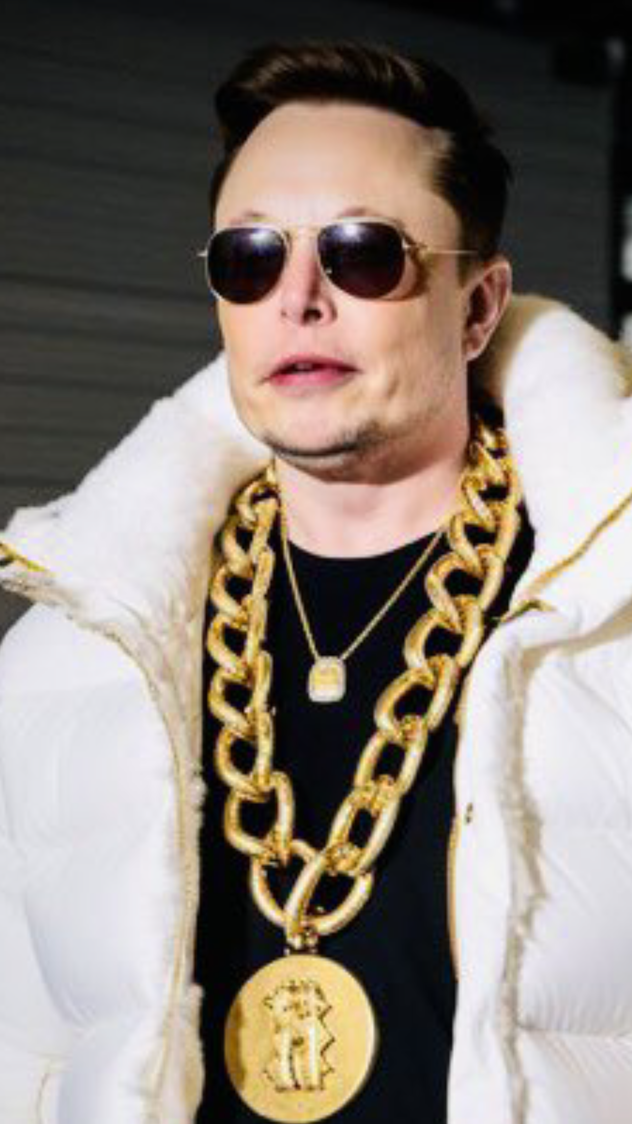 ELON AI PIM STICKER 2