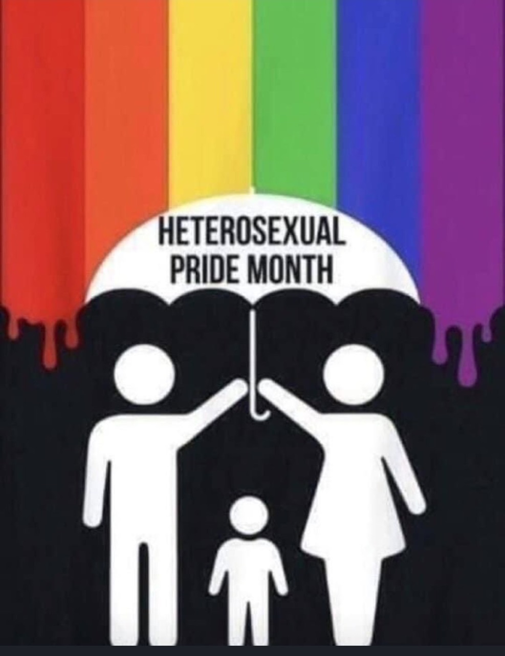 HETROSEXUAL PRIDE MONTH FUNNY LGBTQ STICKER