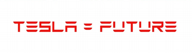 TESLA BRAND DECALS 11 future PAIR