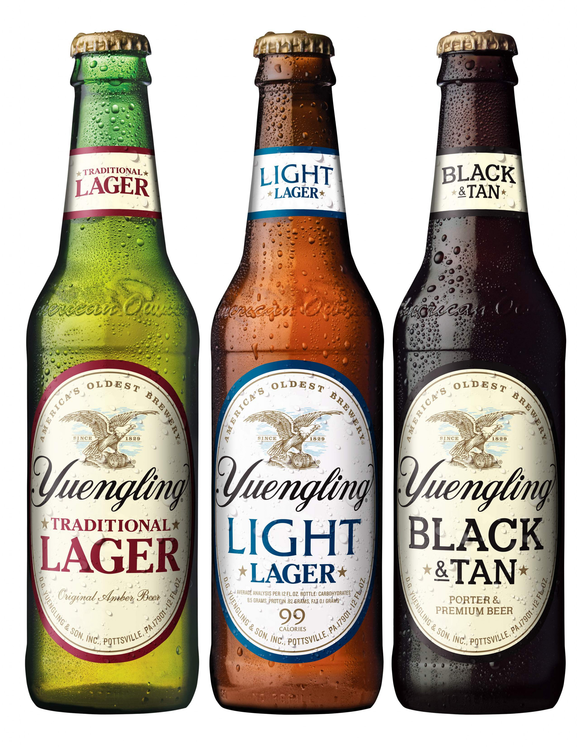 Yuengling THREE BOTTLES cut to shape STICKER