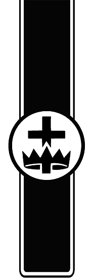 MASONIC Truck Bed Stripes 5