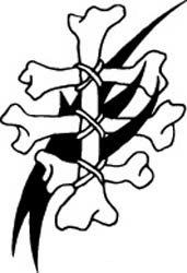 Tribal Skull Vinyl Decal 32