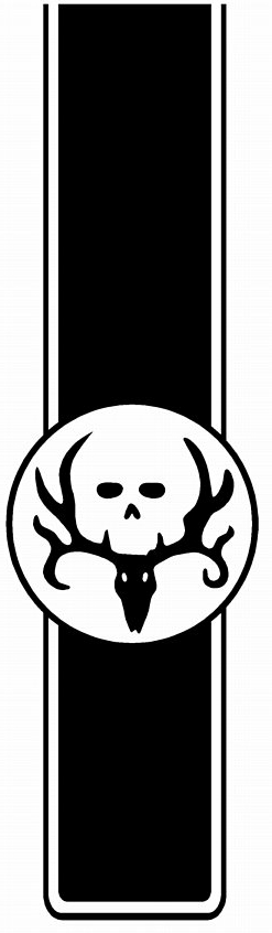 Truck Bed Stripes HUNTING 07