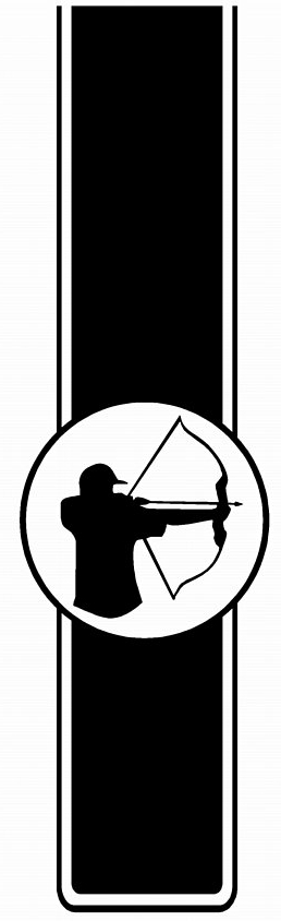 Truck Bed Stripes HUNTING 13