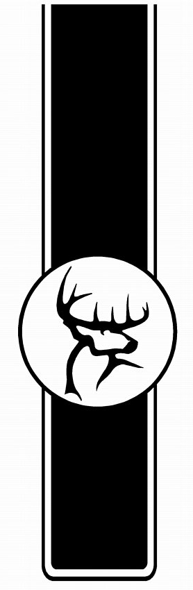 Truck Bed Stripes HUNTING 15