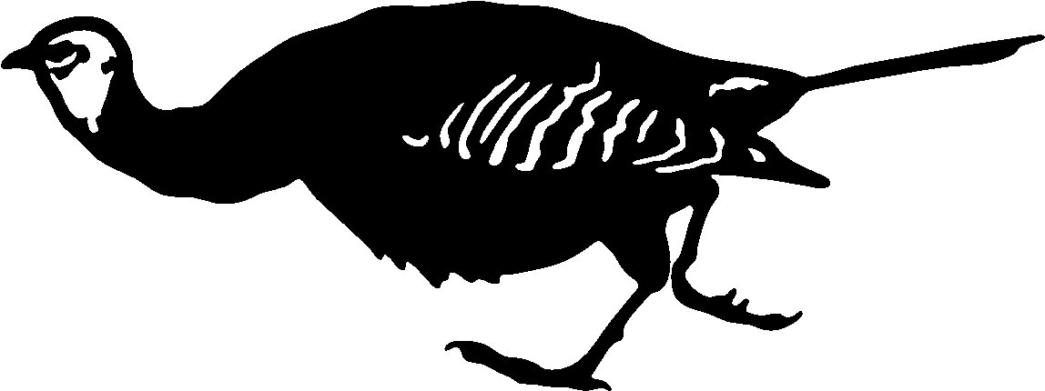 Turkey Vinyl Decal Sticker