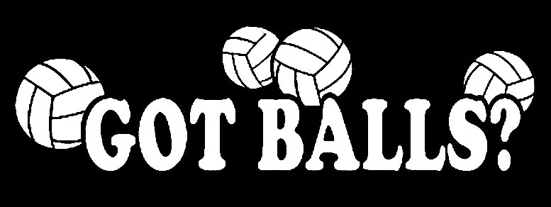 Volleyball Got Balls Window Wall Sticker