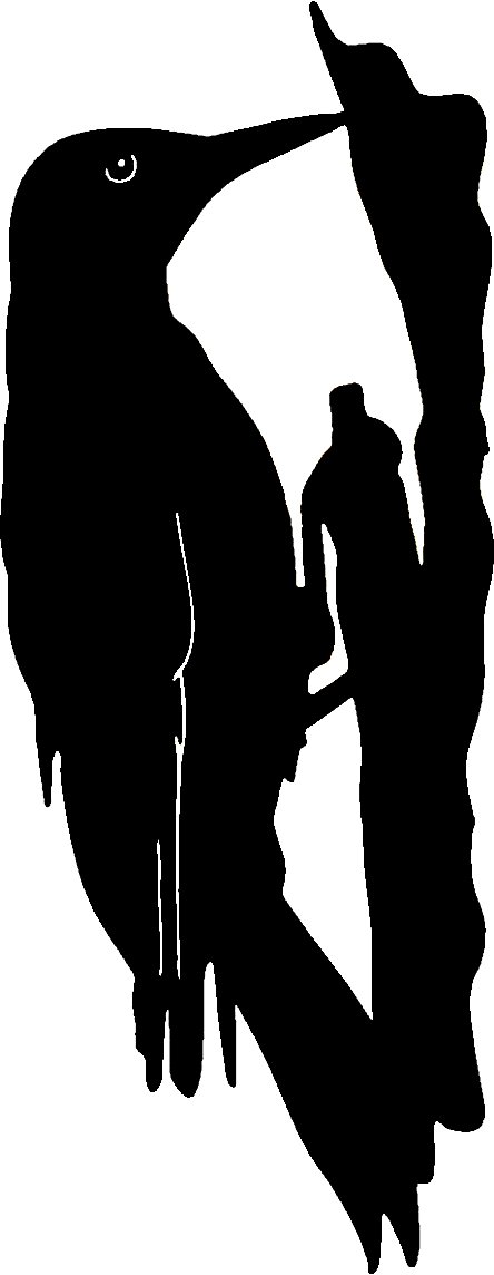 Wood Pecker Bird Birds Animal Animals Vinyl Decal Sticker