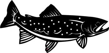 trout DIECUT FISH DECAL 5