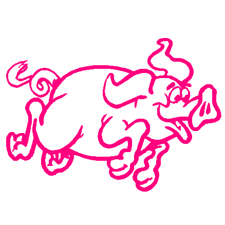 030 - Pig vinyl car sticker