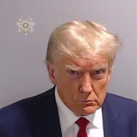 2023 Trump Georgia Mug Shot Sticker