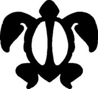 Turtle Designs 2 decal