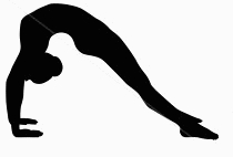 Yoga Pose 14