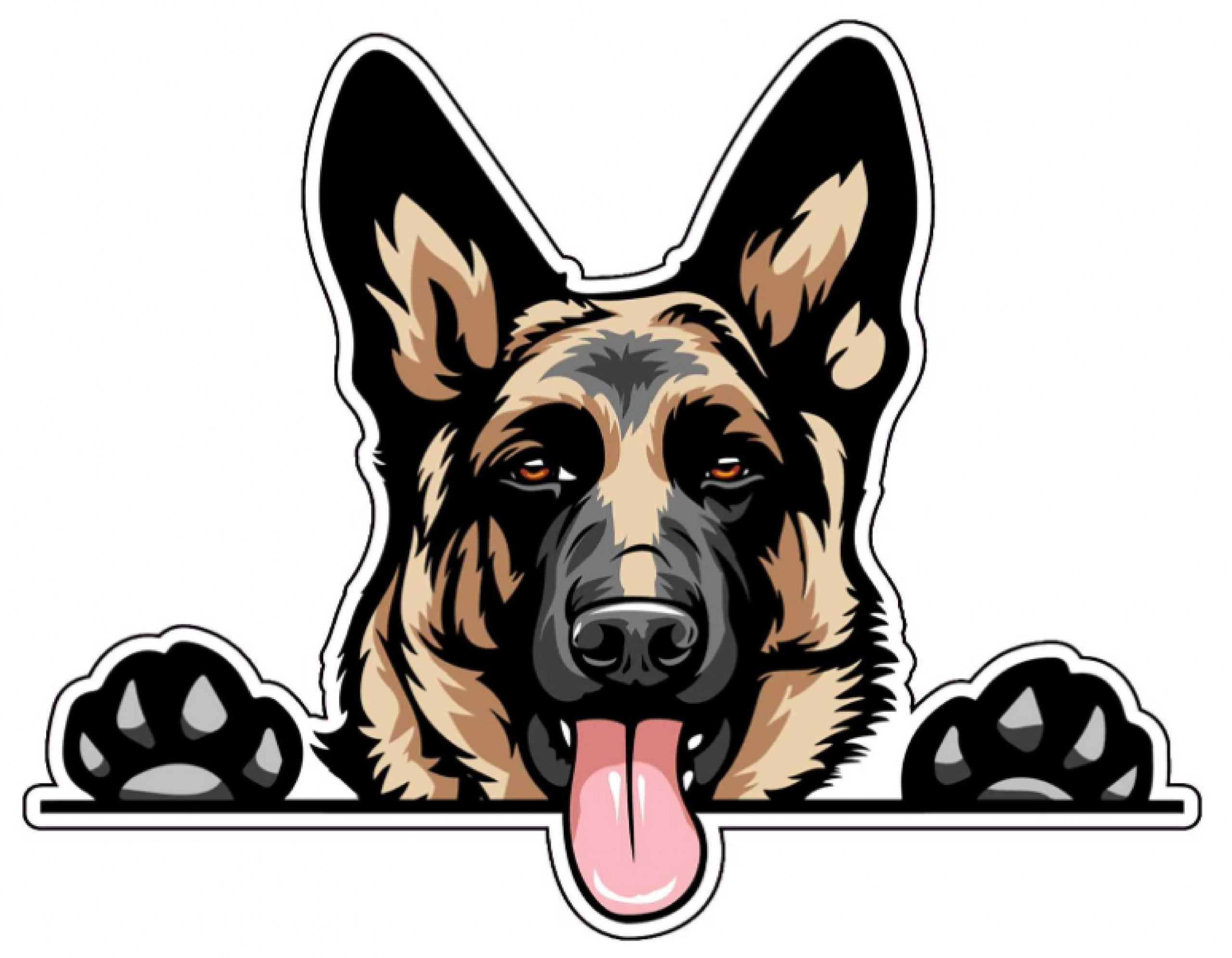 german shepard INSIDE STICKER