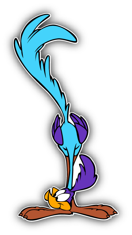 ROAD RUNNER FUNNY CAR STICKER 69