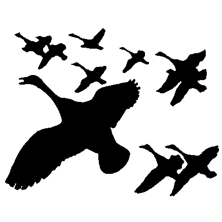 Duck Flock Decal