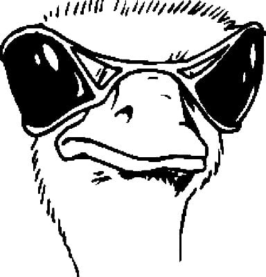 Bird Birds animal Car or Wall Vinyl Decal Sticker 07