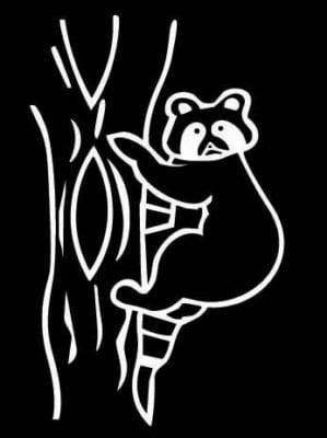 Coon in Tree Vinyl Hunting Sticker