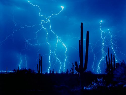 Forces of Nature Adhesive Wall Art 40