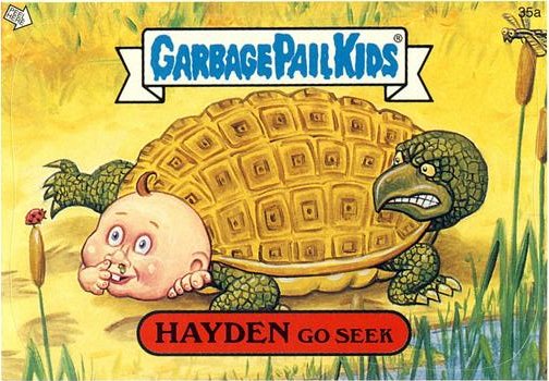 HAYDEN Go Seek Funny Sticker Name Decal