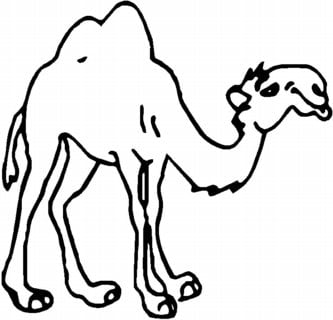 Camel Die Cut Decal