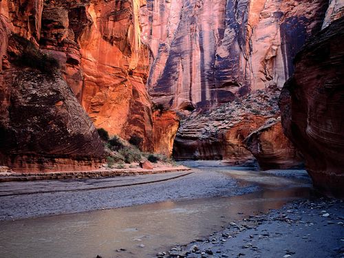 Rocks and Canyons Vinyl Wall Graphics 46