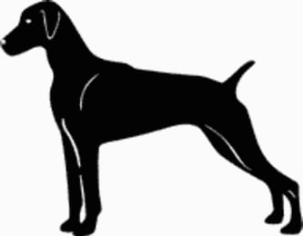 Weimereriner Dog Decal