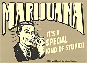 Marijuana Special Kind of Stupid Decal
