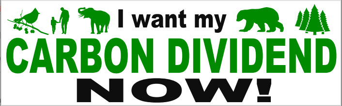 Carbon Dividend Now BUMPER STICKER