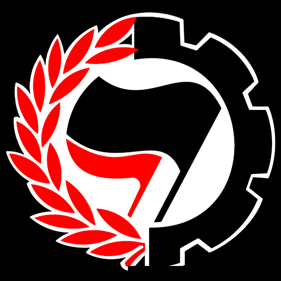 anti racist anti nazi sticker