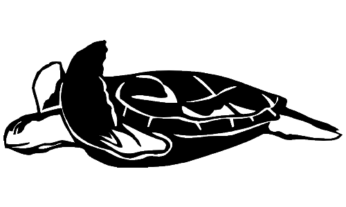 Sea Turtle Decal