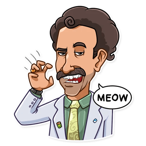 BORAT very nice funny car sticker 29