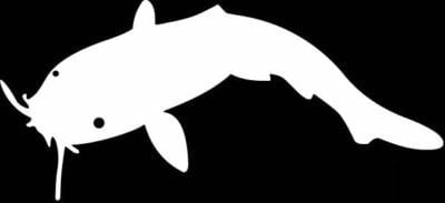 Catfish Vinyl Fishing Decal