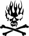 flame skull Vinyl Decal Sticker