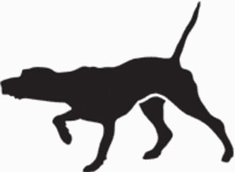 Pointer Dog Decal