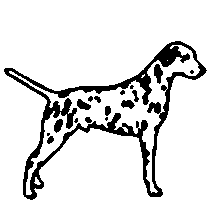 Dalmation car decal - 858