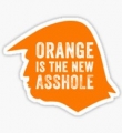 TRUMP ORANGE NEW ASSHOLE