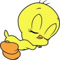 Tweety Bird Sleeping Decal