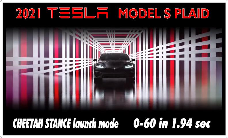 2021 TESLA MODEL S PLAID STICKER