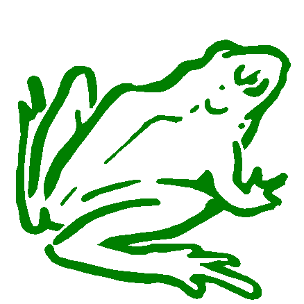 Frog 3 vinyl sticker