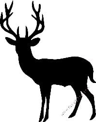 Deer Hunting Decal Sticker 20