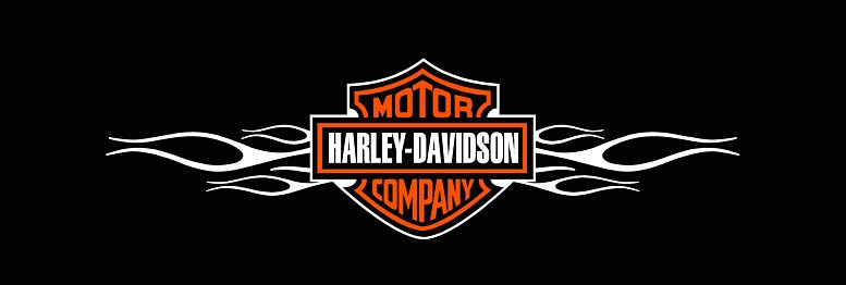 H D 1 Rear Window See Thru Graphic