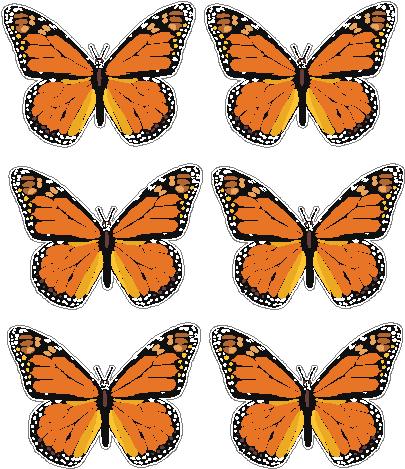 butterfly sticker MONARCH - 6 PACK