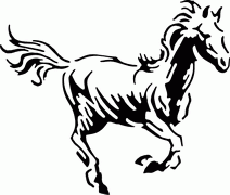 Horse Decals -52