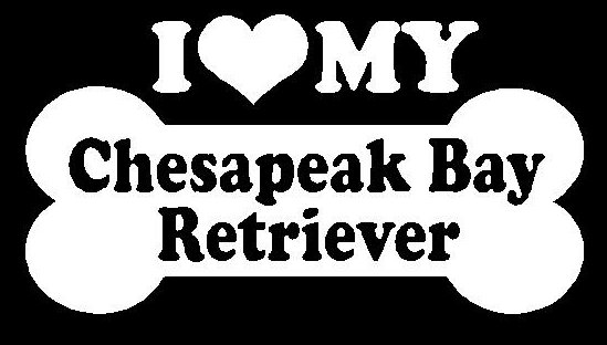 I Love My Chesapeak Bay Retriever