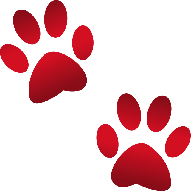 Paw_emoji_icon_png